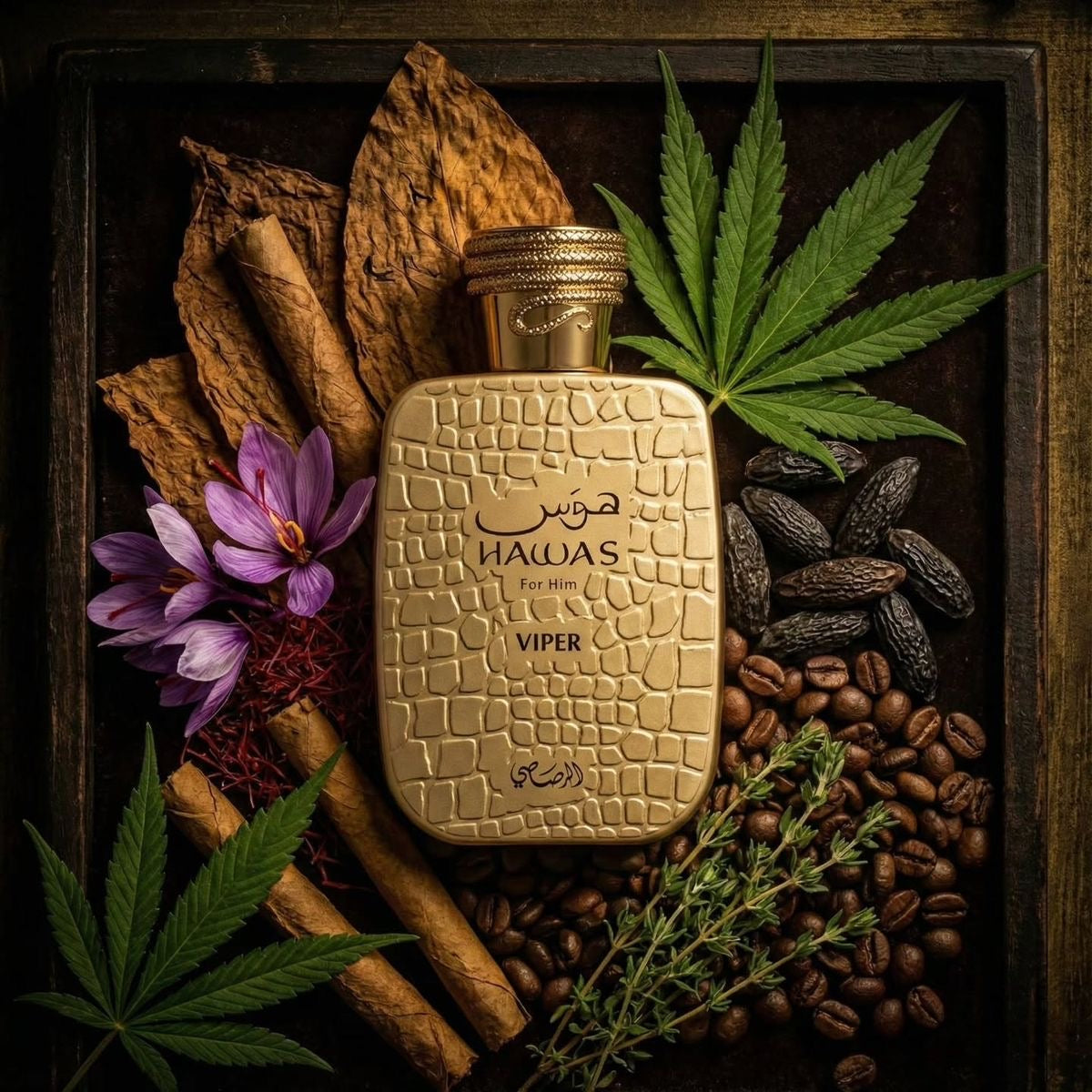 عطر رصاصي هوس فور هيم فايبر (Rasasi Hawas For Him Viper) - أو دو بارفيوم - 100 مل.